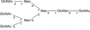 SILuCarb Glycan Standard 13C Triantennary G0 