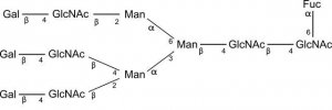 SILuCarb Glycan Standard 13C Triantennary G3F 
