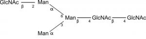 SILuCarb Glycan Standard 13C truncated MGn(6) 