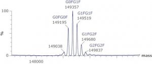 SILuLite SigmaMAb Bevacizumab Monoclonal Antibody 