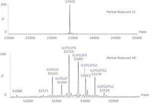 SILuLite SigmaMAb Cetuximab Monoclonal Antibody 