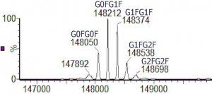 SILuLite SigmaMAb Trastuzumab Monoclonal Antibody 