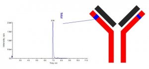 SILuMAb Bevacizumab Stable-Isotope Labeled Monoclonal Antibody 