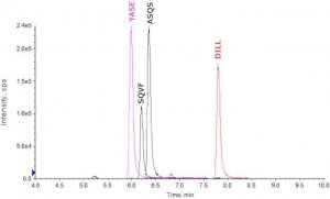 SILuMAb Cetuximab Stable-Isotope Labeled Monoclonal Antibody 