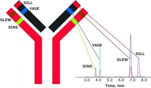 SILuMAb Infliximab Stable-Isotope Labeled Monoclonal Antibody 