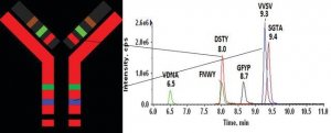 SILuMAB K1 Stable-Isotope Labeled Universal Monoclonal Antibody 