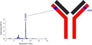 SILuMAb Nivolumab Stable-Isotope Labeled Monoclonal Antibody 