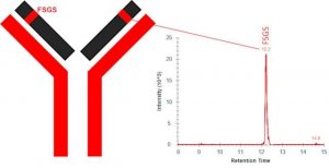 SILuMAb Pembrolizumab Stable-Isotope Labeled Monoclonal Antibody 