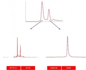 SILuMAB Stable-Isotope Labeled Universal Monoclonal Antibody Standard human 