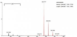 SILuProt MAPK1 Mitogen Activated Protein Kinase 1 human 