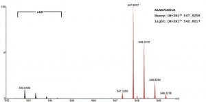 SILuProt PTX3 Pentraxin-related protein PTX3 human 