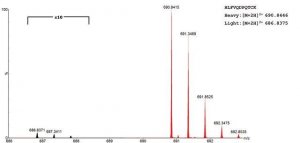 SILuProt VEGFA Vascular endothelial growth factor A human 