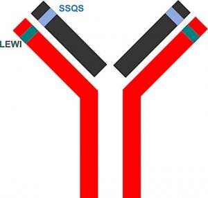 SILuMAb Vedolizumab Stable-Isotope Labeled Monoclonal Antibody 
