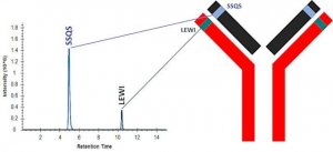 SILuMAb Vedolizumab Stable-Isotope Labeled Monoclonal Antibody 