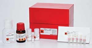 Trypsin Profile IGD Kit PP0100-1KT