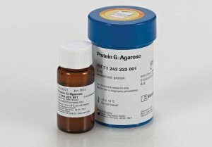Protein G Agarose 