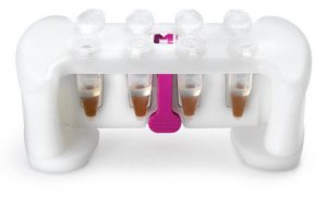 PureProteome Protein A Magnetic Bead System 