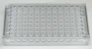 ANTI-FLAG High Sensitivity, M2 coated 96-well plates 