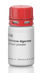 GlutathioneAgarose 