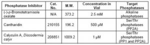 Phosphatase Inhibitor Cocktail Set IV 