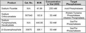 Phosphatase Inhibitor Cocktail Set V, 50X, Lyophilized 