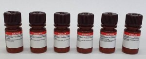 ReadyShield Protease and Phosphatase Inhibitor Cocktail 