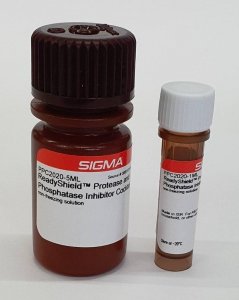 ReadyShield Protease and Phosphatase Inhibitor Cocktail 