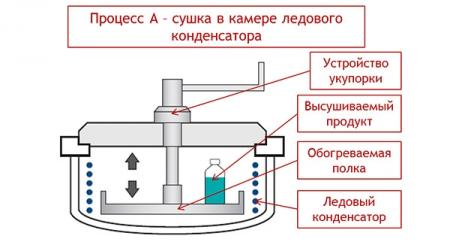   Gamma 2-16 LSCplus 