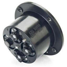   CARTICAL  ANISE sc 