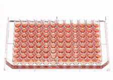 96-  Thermo Scientific NuncTM Edge, 96-   ,  