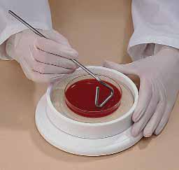    Bel-Art Products 9520530