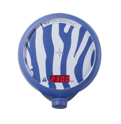 color squid zebra 0003698200