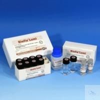 Macherey-Nagel Lumin.bacteria, 10x10 945025