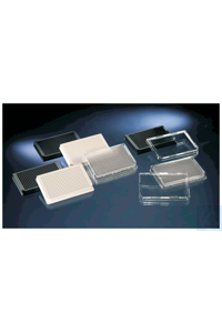 Thermo Scientific -    Nunc & Samco     120    384- ... 436017