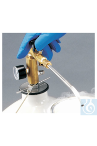Thermo Scientific -        LN2 - AY509X4