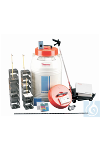 Thermo Scientific -     LN2 100 - 240   CN509X7-70