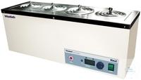 Daihan (Witeg)      6  -  110   100  C DH.WEB01006