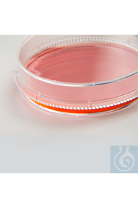 Thermo Scientific - Nunc & Samco Nunc™ EasYDish & Trade  21,5 2 60  280 16 150462