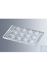 Marienfeld   VDRL 1800002