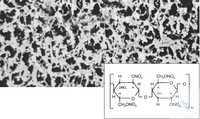 11342--13 ------      (CN) N Sartorius 5  | 13   ( ) | ... 11342--13------N