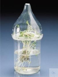 7 200 001 Witeg WATER CONTAINER, PS, 250 , OD 70 ,  = 10 . 7 200 001