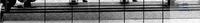 8 000 003 Witeg BASE, WSS,  , 25  8 000 003