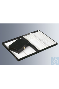 Marienfeld    100   , 6003010