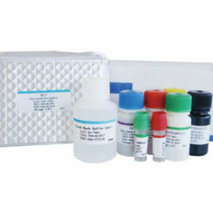     Elisa Human 96T/48T Biobase