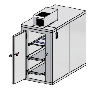      3  Fiocchetti CAM030301