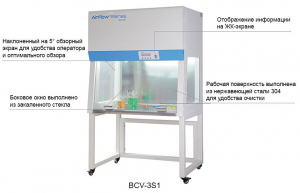    BCV Being Instrument