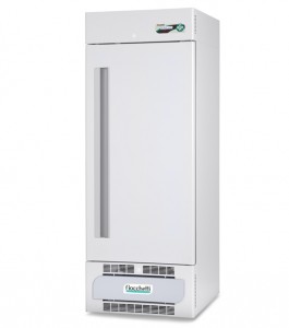  FREEZER 250 ECT-F PLUS Fiocchetti FRE0253