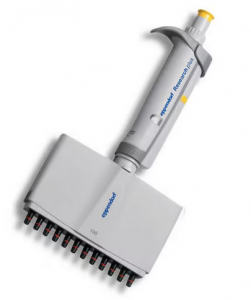   Research Plus, 10 - 100 , , Eppendorf 3125000044