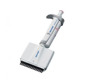  Research Plus, 1 - 20 , -, Eppendorf 3125000079
