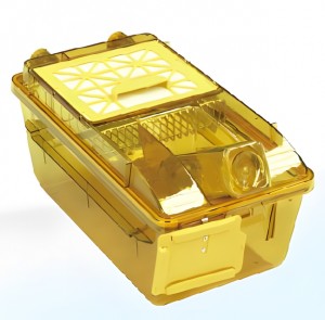        BCR-I IVC Shinva
